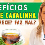Chá de Cavalinha Emagrece? Verdade ou Mito + Como Usar Para Desinchar Rápido